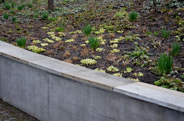 Concrete Wall Construction in Sparks