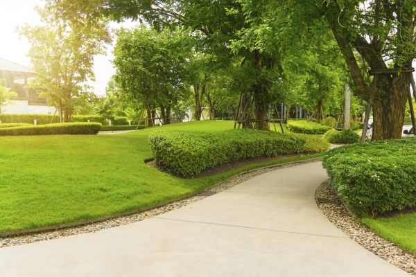 Walkway Concrete Installation in Sparks