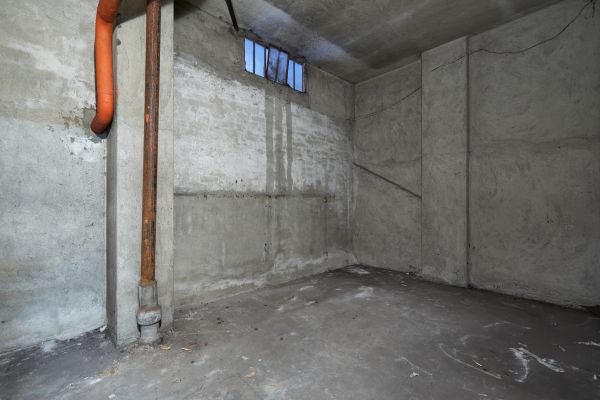 Basement Wall Construction in Sparks