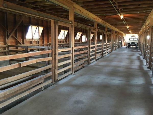 Barn Slab Construction in Sparks