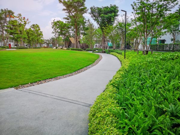 Cement Walkway Service in Sparks