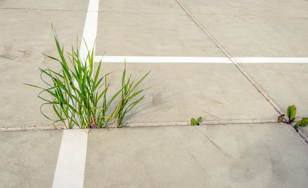 Concrete Parking Installation in Sparks