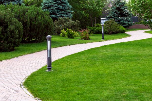 Backyard Sidewalk Installation in Sparks