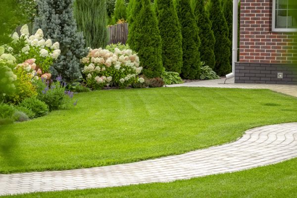 Landscape Walkway Installation in Sparks
